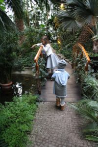 palmiarnia 7 200x300 Ciekawe miejsca na Śląsku. Cykl Fotoreportaży vol.1