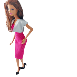 20221029 135059 removebg preview 300x300 20221029 135059 removebg preview